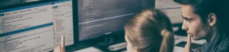 What Are the Key Responsibilities of Web Developers?